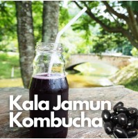 *Kombucha - KALA JAMUN - 350 ml (by Satva Farm)